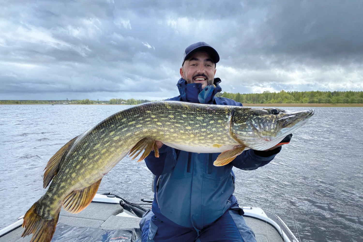 Deals Rods Store -Deals Rods Store 1894641