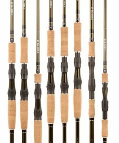 BFT BFT Roots G2 Baitcasting Rod Model:7,6´ H Bayonet 15 BFT BFT Roots G2 Baitcasting Rod Model:7,6´ H Bayonet -Deals Rods Store 3bcd9124 1043 4e21 a18e c099852149dd scaled
