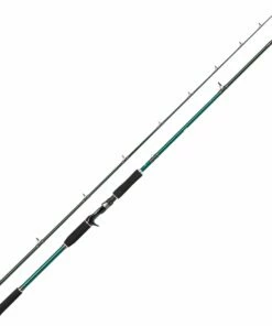 Abu Garcia Abu Garcia Beast X Pike Baitcasting Reel Rod Model:802 XXH