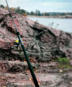 Daiwa Daiwa Aird X Spinning Reel Rod -Deals Rods Store d4328210 f9a4 4bef 819d 9357e64beb25 1